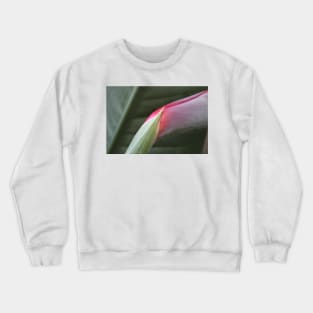 Bird of paradise flower to be Crewneck Sweatshirt